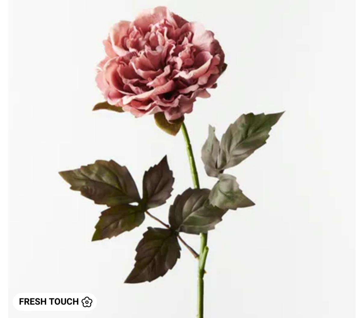 Open Peony Dusty Pink