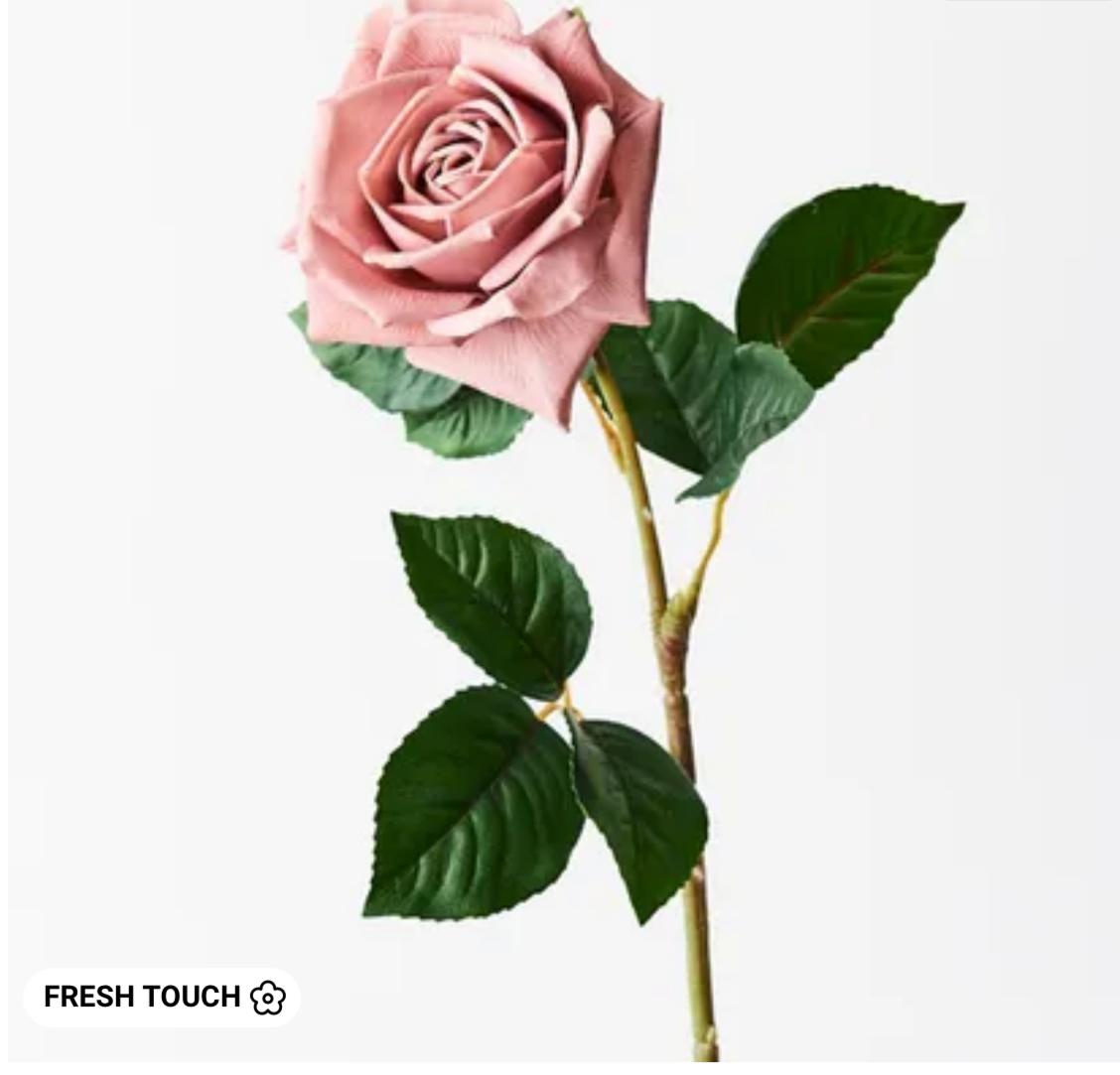 Rose Clara Dusty Pink