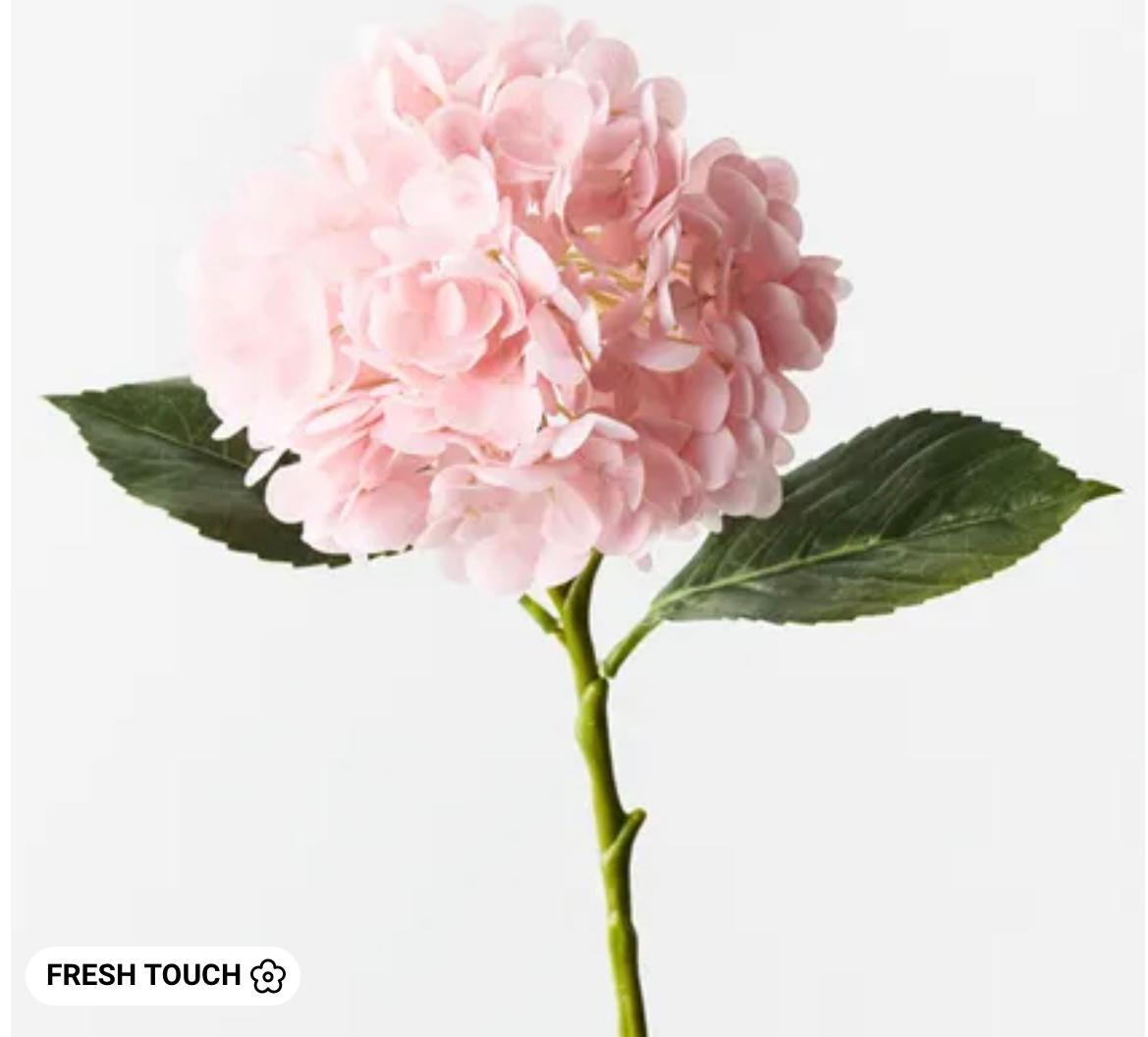 Hydrangea Light Pink