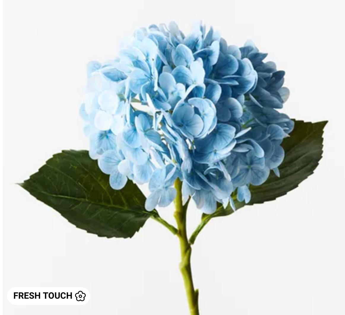 Hydrangea Light Blue