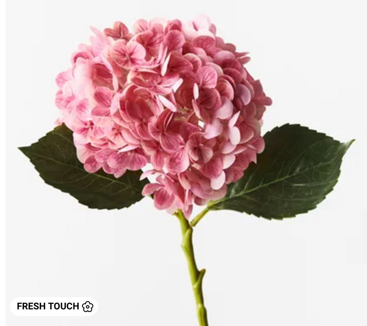 Pink Mauve Hydrangea